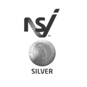 NSI Logo